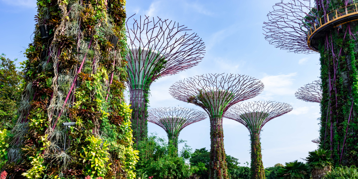 Your Ultimate Guide to a Fun and Memorable Trip to Singapore: Travel with Uselect Flights